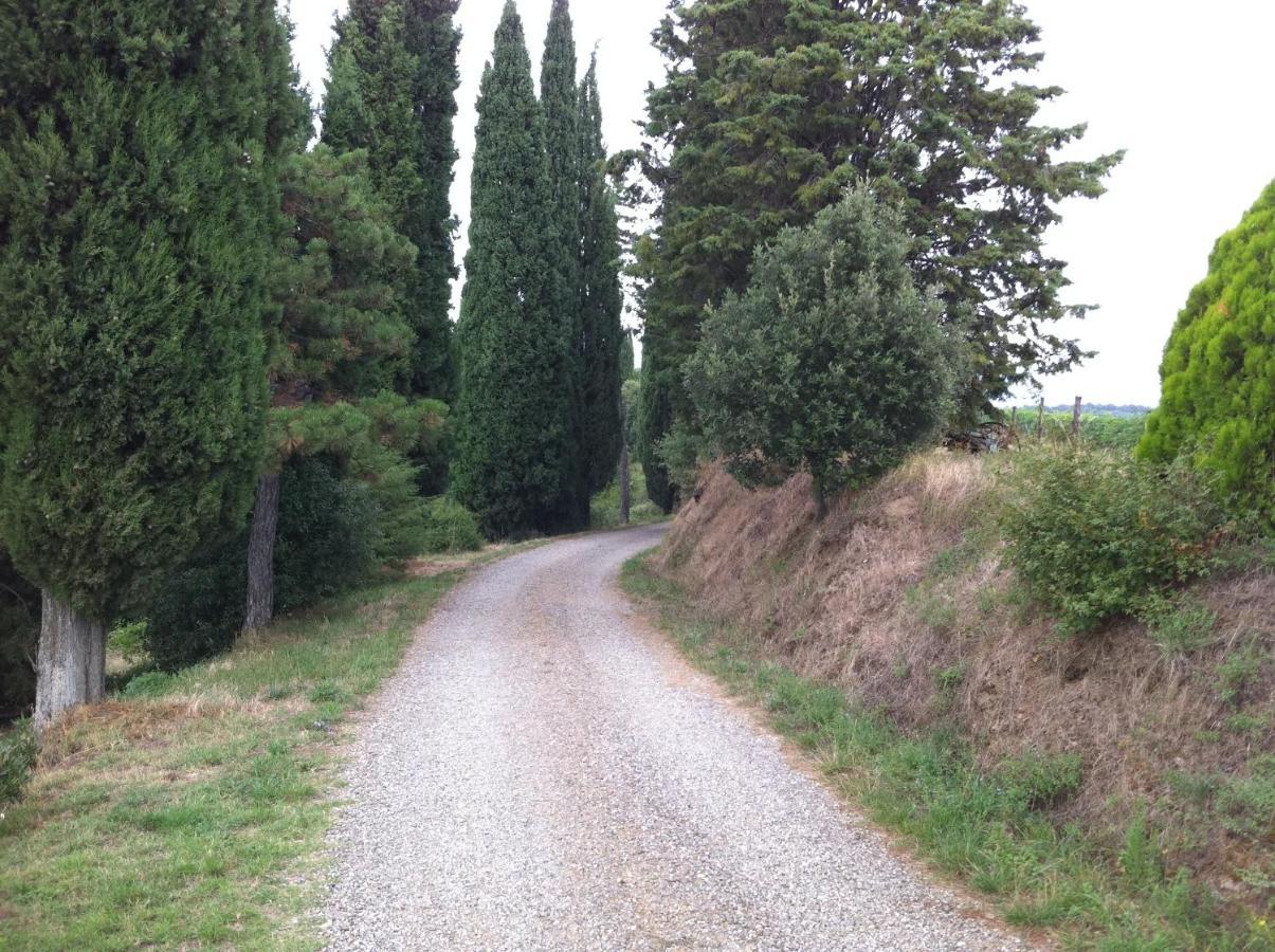 Agriturismo Fattoria Di Gratena Arezzo Kültér fotó