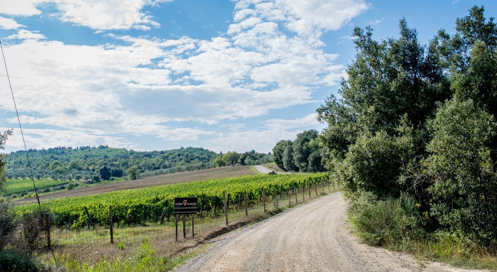 Agriturismo Fattoria Di Gratena Arezzo Kültér fotó