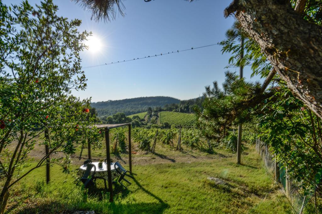 Agriturismo Fattoria Di Gratena Arezzo Kültér fotó