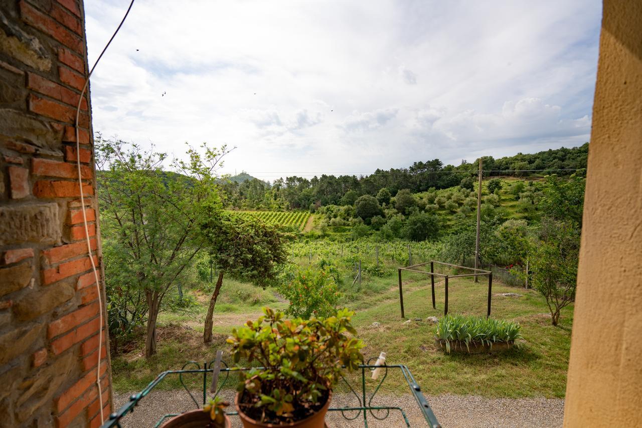 Agriturismo Fattoria Di Gratena Arezzo Kültér fotó