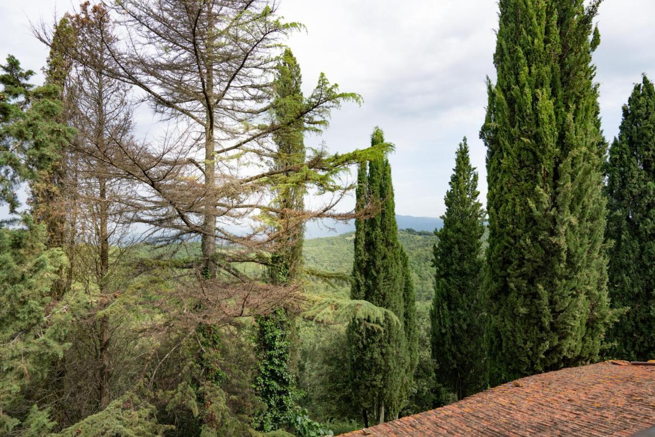 Agriturismo Fattoria Di Gratena Arezzo Kültér fotó