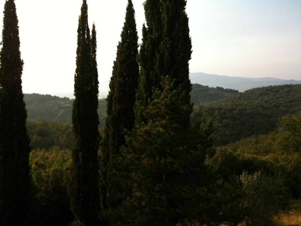 Agriturismo Fattoria Di Gratena Arezzo Kültér fotó